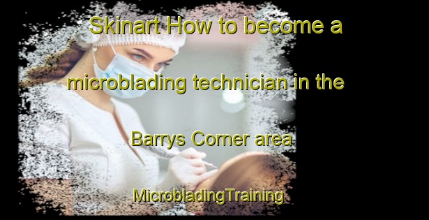 Skinart How to become a microblading technician in the Barrys Corner area | MicrobladingTraining | MicrobladingClasses | SkinartTraining-Canada