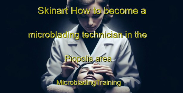 Skinart How to become a microblading technician in the Piopolis area | MicrobladingTraining | MicrobladingClasses | SkinartTraining-Canada