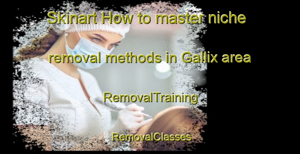 Skinart How to master niche removal methods in Gallix area | RemovalTraining | RemovalClasses | SkinartTraining-Canada