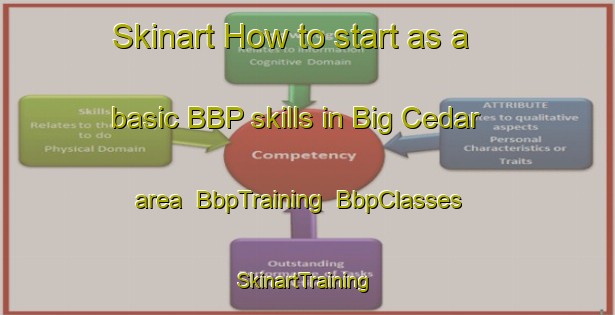 Skinart How to start as a basic BBP skills in Big Cedar area | BbpTraining | BbpClasses | SkinartTraining-Canada