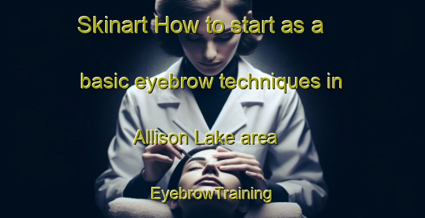Skinart How to start as a basic eyebrow techniques in Allison Lake area | EyebrowTraining | EyebrowClasses | SkinartTraining-Canada