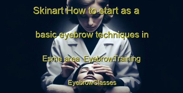 Skinart How to start as a basic eyebrow techniques in Esme area | EyebrowTraining | EyebrowClasses | SkinartTraining-Canada