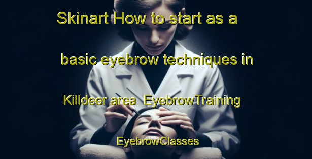 Skinart How to start as a basic eyebrow techniques in Killdeer area | EyebrowTraining | EyebrowClasses | SkinartTraining-Canada