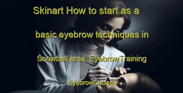 Skinart How to start as a basic eyebrow techniques in Snowball area | EyebrowTraining | EyebrowClasses | SkinartTraining-Canada