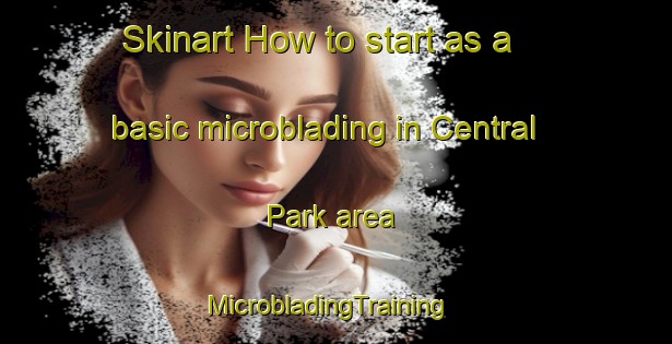 Skinart How to start as a basic microblading in Central Park area | MicrobladingTraining | MicrobladingClasses | SkinartTraining-Canada