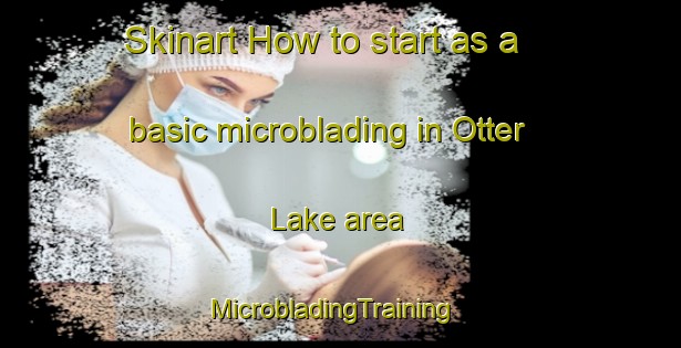 Skinart How to start as a basic microblading in Otter Lake area | MicrobladingTraining | MicrobladingClasses | SkinartTraining-Canada