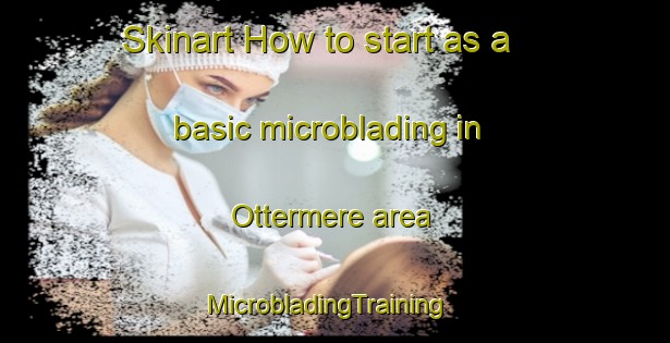 Skinart How to start as a basic microblading in Ottermere area | MicrobladingTraining | MicrobladingClasses | SkinartTraining-Canada