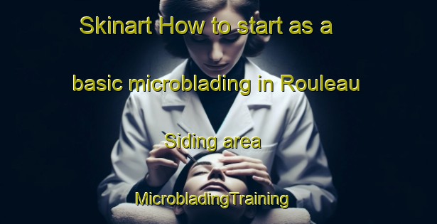 Skinart How to start as a basic microblading in Rouleau Siding area | MicrobladingTraining | MicrobladingClasses | SkinartTraining-Canada