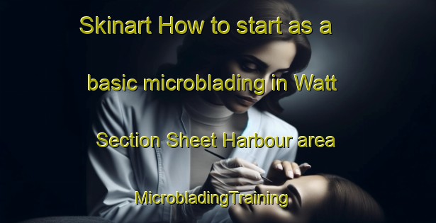 Skinart How to start as a basic microblading in Watt Section Sheet Harbour area | MicrobladingTraining | MicrobladingClasses | SkinartTraining-Canada