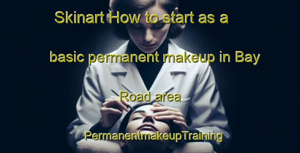 Skinart How to start as a basic permanent makeup in Bay Road area | PermanentmakeupTraining | PermanentmakeupClasses | SkinartTraining-Canada