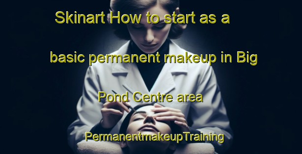 Skinart How to start as a basic permanent makeup in Big Pond Centre area | PermanentmakeupTraining | PermanentmakeupClasses | SkinartTraining-Canada