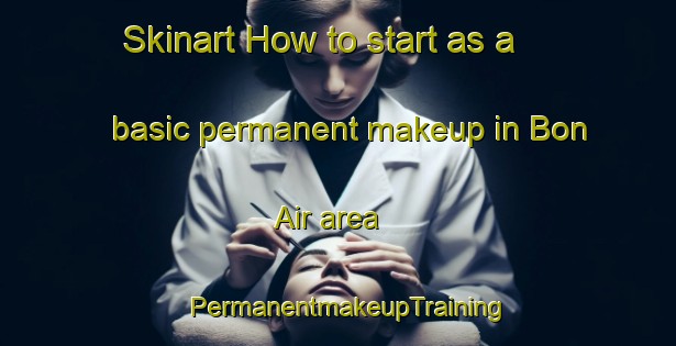 Skinart How to start as a basic permanent makeup in Bon Air area | PermanentmakeupTraining | PermanentmakeupClasses | SkinartTraining-Canada