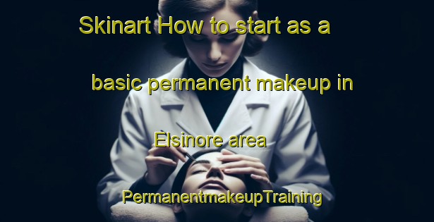 Skinart How to start as a basic permanent makeup in Elsinore area | PermanentmakeupTraining | PermanentmakeupClasses | SkinartTraining-Canada