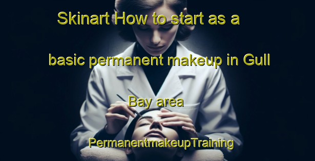 Skinart How to start as a basic permanent makeup in Gull Bay area | PermanentmakeupTraining | PermanentmakeupClasses | SkinartTraining-Canada