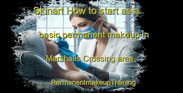 Skinart How to start as a basic permanent makeup in Marshalls Crossing area | PermanentmakeupTraining | PermanentmakeupClasses | SkinartTraining-Canada