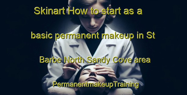 Skinart How to start as a basic permanent makeup in St  Barbe North Sandy Cove area | PermanentmakeupTraining | PermanentmakeupClasses | SkinartTraining-Canada