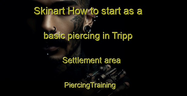 Skinart How to start as a basic piercing in Tripp Settlement area | PiercingTraining | PiercingClasses | SkinartTraining-Canada