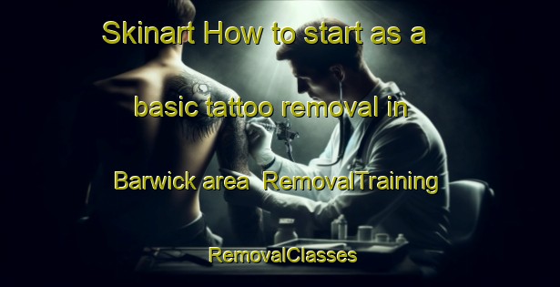 Skinart How to start as a basic tattoo removal in Barwick area | RemovalTraining | RemovalClasses | SkinartTraining-Canada