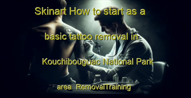 Skinart How to start as a basic tattoo removal in Kouchibouguac National Park area | RemovalTraining | RemovalClasses | SkinartTraining-Canada