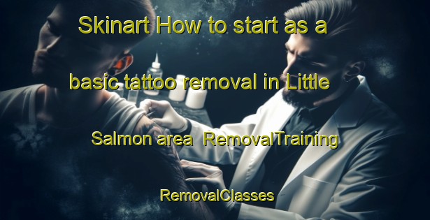 Skinart How to start as a basic tattoo removal in Little Salmon area | RemovalTraining | RemovalClasses | SkinartTraining-Canada
