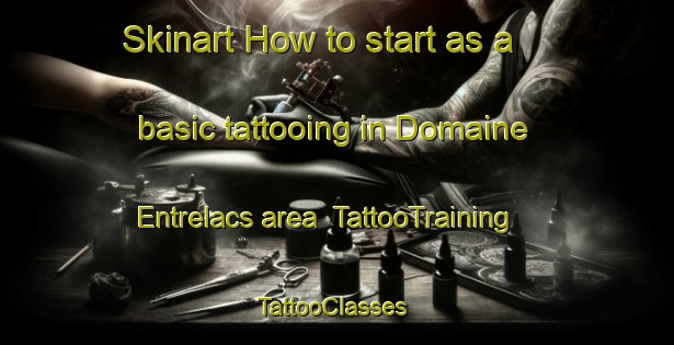 Skinart How to start as a basic tattooing in Domaine Entrelacs area | TattooTraining | TattooClasses | SkinartTraining-Canada