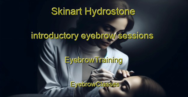 Skinart Hydrostone introductory eyebrow sessions | EyebrowTraining | EyebrowClasses | SkinartTraining-Canada