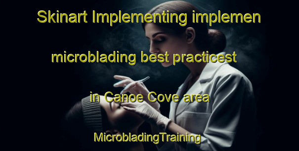 Skinart Implementing implemen microblading best practicest in Canoe Cove area | #MicrobladingTraining #MicrobladingClasses #SkinartTraining-Canada