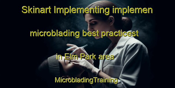 Skinart Implementing implemen microblading best practicest in Elm Park area | #MicrobladingTraining #MicrobladingClasses #SkinartTraining-Canada