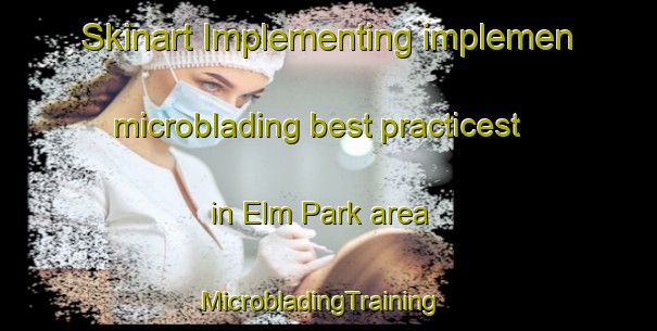 Skinart Implementing implemen microblading best practicest in Elm Park area | MicrobladingTraining | MicrobladingClasses | SkinartTraining-Canada