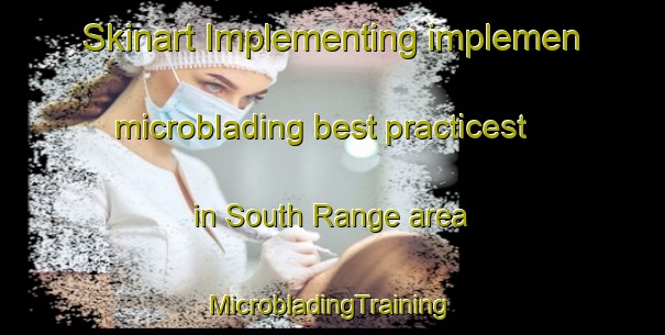 Skinart Implementing implemen microblading best practicest in South Range area | #MicrobladingTraining #MicrobladingClasses #SkinartTraining-Canada