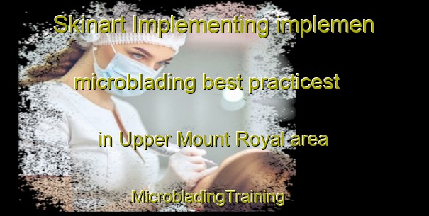 Skinart Implementing implemen microblading best practicest in Upper Mount Royal area | MicrobladingTraining | MicrobladingClasses | SkinartTraining-Canada