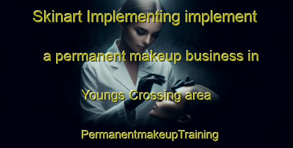 Skinart Implementing implement a permanent makeup business in Youngs Crossing area | PermanentmakeupTraining | PermanentmakeupClasses | SkinartTraining-Canada