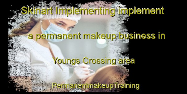 Skinart Implementing implement a permanent makeup business in Youngs Crossing area | PermanentmakeupTraining | PermanentmakeupClasses | SkinartTraining-Canada