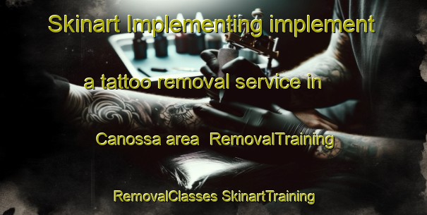 Skinart Implementing implement a tattoo removal service in Canossa area | #RemovalTraining #RemovalClasses #SkinartTraining-Canada