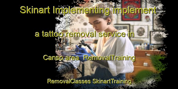 Skinart Implementing implement a tattoo removal service in Canso area | #RemovalTraining #RemovalClasses #SkinartTraining-Canada