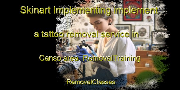 Skinart Implementing implement a tattoo removal service in Canso area | RemovalTraining | RemovalClasses | SkinartTraining-Canada