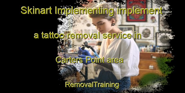 Skinart Implementing implement a tattoo removal service in Carters Point area | RemovalTraining | RemovalClasses | SkinartTraining-Canada