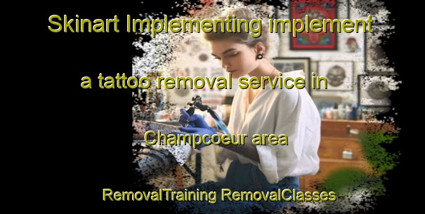 Skinart Implementing implement a tattoo removal service in Champcoeur area | #RemovalTraining #RemovalClasses #SkinartTraining-Canada