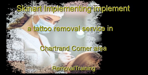 Skinart Implementing implement a tattoo removal service in Chartrand Corner area | RemovalTraining | RemovalClasses | SkinartTraining-Canada