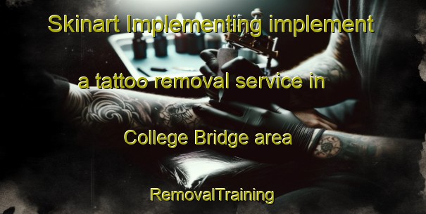 Skinart Implementing implement a tattoo removal service in College Bridge area | RemovalTraining | RemovalClasses | SkinartTraining-Canada