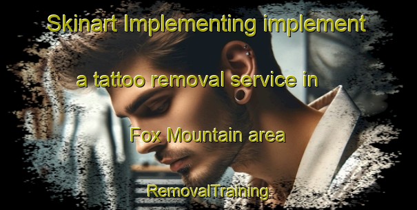 Skinart Implementing implement a tattoo removal service in Fox Mountain area | RemovalTraining | RemovalClasses | SkinartTraining-Canada