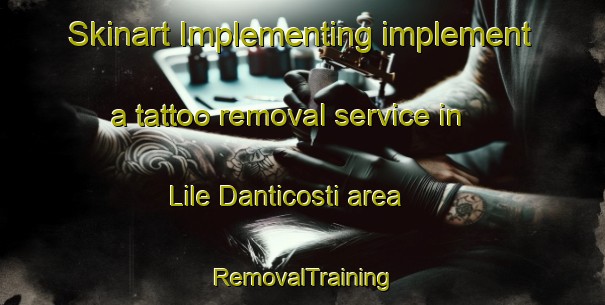 Skinart Implementing implement a tattoo removal service in Lile Danticosti area | RemovalTraining | RemovalClasses | SkinartTraining-Canada