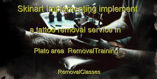 Skinart Implementing implement a tattoo removal service in Plato area | RemovalTraining | RemovalClasses | SkinartTraining-Canada