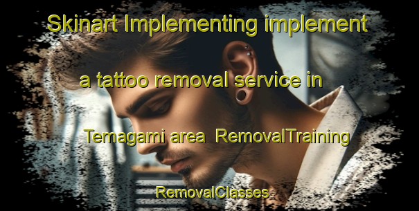 Skinart Implementing implement a tattoo removal service in Temagami area | RemovalTraining | RemovalClasses | SkinartTraining-Canada