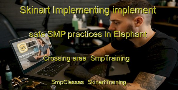 Skinart Implementing implement safe SMP practices in Elephant Crossing area | SmpTraining | SmpClasses | SkinartTraining-Canada