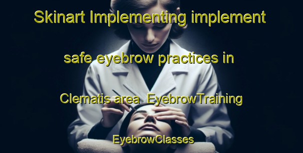 Skinart Implementing implement safe eyebrow practices in Clematis area | EyebrowTraining | EyebrowClasses | SkinartTraining-Canada