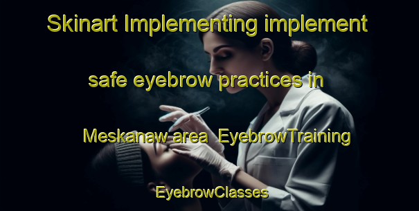 Skinart Implementing implement safe eyebrow practices in Meskanaw area | EyebrowTraining | EyebrowClasses | SkinartTraining-Canada