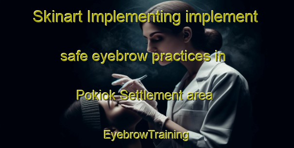 Skinart Implementing implement safe eyebrow practices in Pokiok Settlement area | EyebrowTraining | EyebrowClasses | SkinartTraining-Canada
