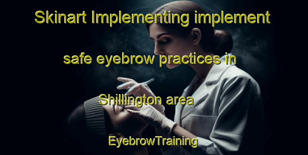 Skinart Implementing implement safe eyebrow practices in Shillington area | EyebrowTraining | EyebrowClasses | SkinartTraining-Canada