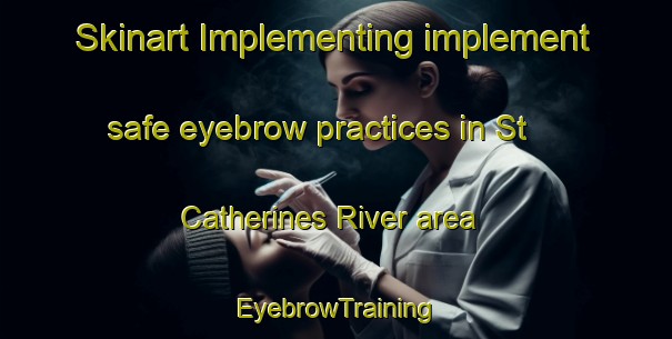 Skinart Implementing implement safe eyebrow practices in St  Catherines River area | EyebrowTraining | EyebrowClasses | SkinartTraining-Canada